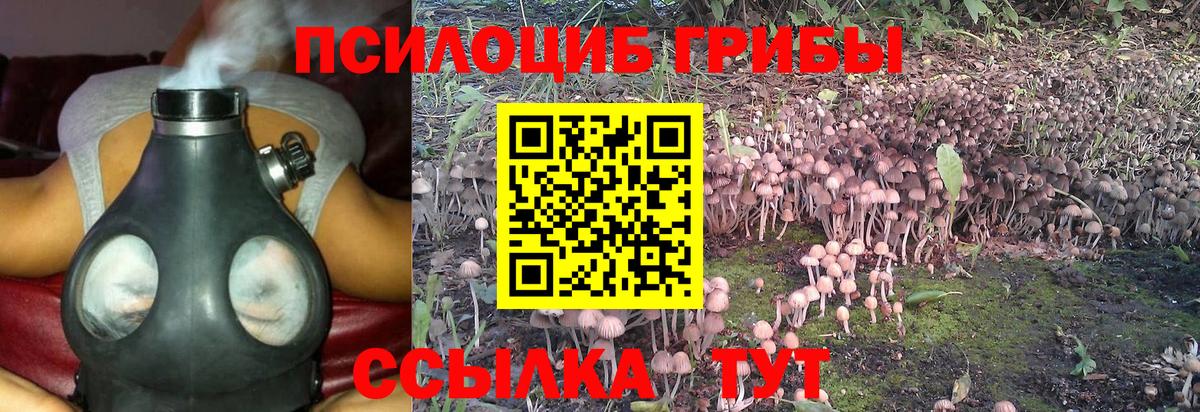 Галлюциногенные грибы Psilocybine cubensis  Вход с VPN  Псилоцибиновые грибы мухоморы  Моздок 